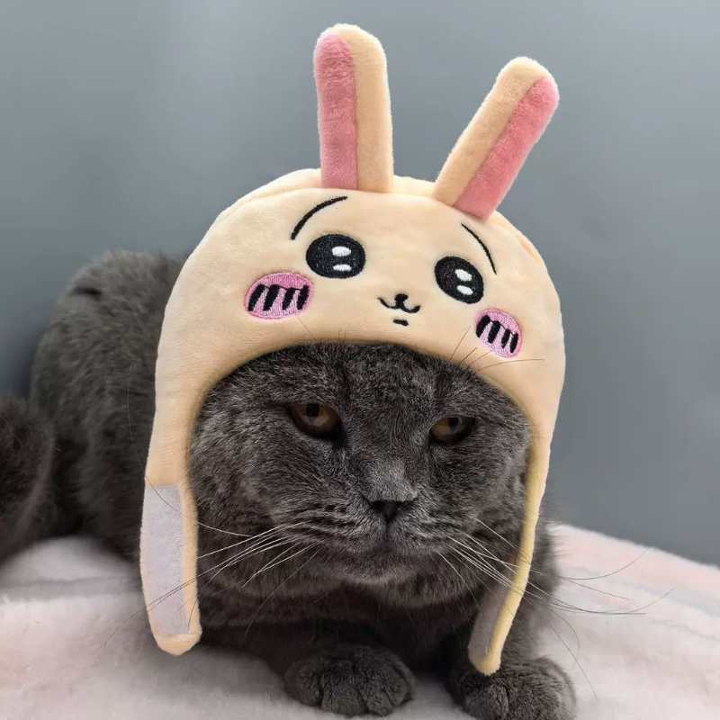 Chiikawa Usagi Hachiware Universal Pet Cat Dog Hat