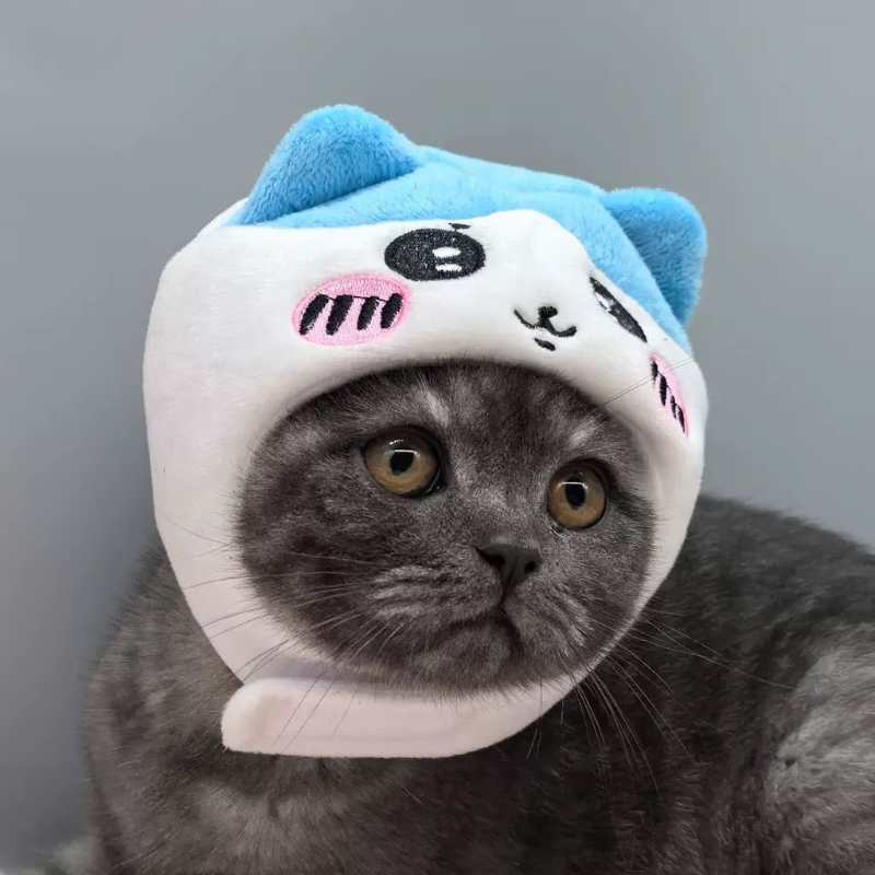 Chiikawa Usagi Hachiware Universal Pet Cat Dog Hat